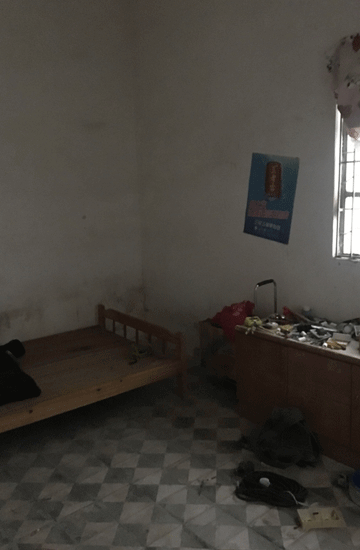 让家春暖花开 美丽姑娘的优雅出租屋